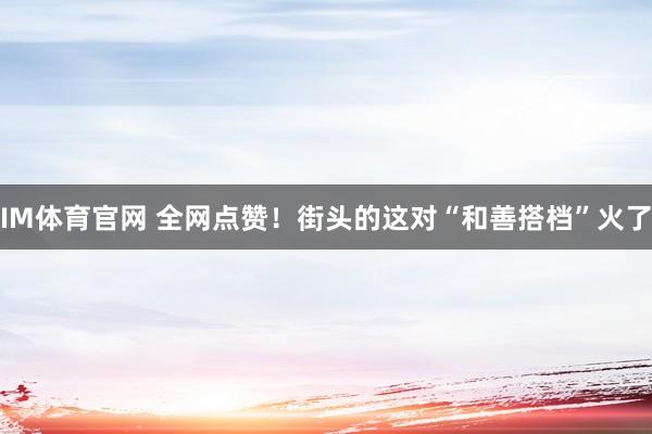 IM体育官网 全网点赞！街头的这对“和善搭档”火了