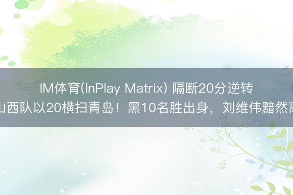 IM体育(InPlay Matrix) 隔断20分逆转，山西队以20横扫青岛！黑10名胜出身，刘维伟黯然离场