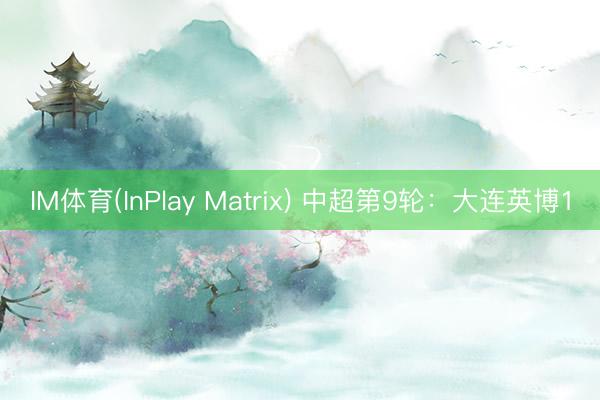 IM体育(InPlay Matrix) 中超第9轮：大连英博1