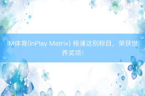 IM体育(InPlay Matrix) 杨浦这别称目，荣获世界奖项！