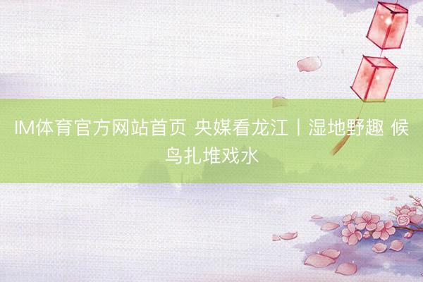 IM体育官方网站首页 央媒看龙江丨湿地野趣 候鸟扎堆戏水