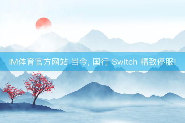 IM体育官方网站 当今， 国行 Switch 精致停服!
