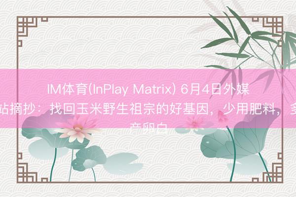 IM体育(InPlay Matrix) 6月4日外媒科学网站摘抄：找回玉米野生祖宗的好基因，少用肥料，多产卵白