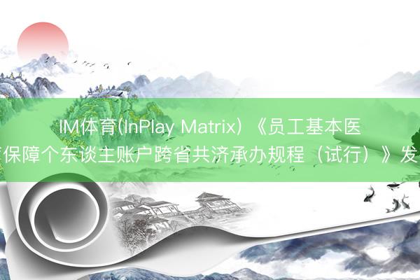 IM体育(InPlay Matrix) 《员工基本医疗保障个东谈主账户跨省共济承办规程(试行)》发布