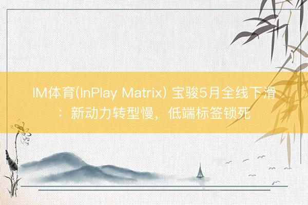 IM体育(InPlay Matrix) 宝骏5月全线下滑：新动力转型慢，低端标签锁死