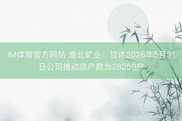 IM体育官方网站 淮北矿业：甘休2026年5月31日公司推动总户数为28259户