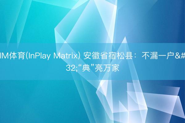 IM体育(InPlay Matrix) 安徽省宿松县：不漏一户 “典”亮万家